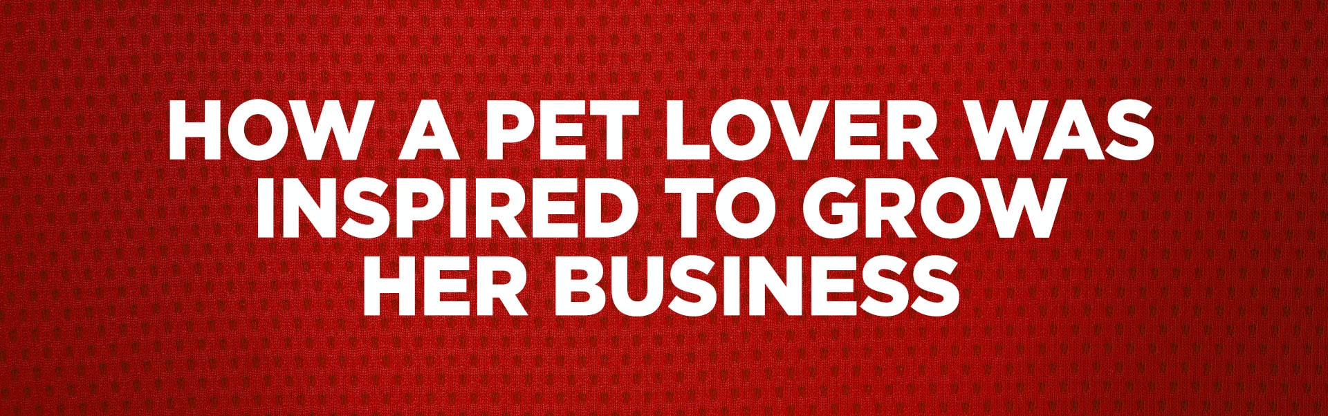How a Pet Lover Was Inspired to Grow Her Business
